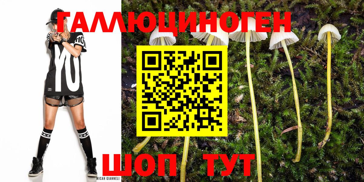 Псилоцибиновые грибы Cubensis  наркотики  Стрежевой  Вход с VPN 